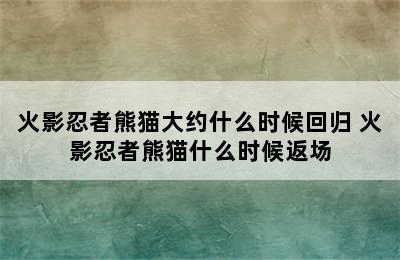 火影忍者熊猫大约什么时候回归 火影忍者熊猫什么时候返场